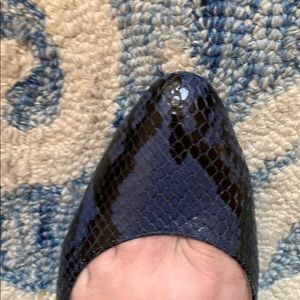 Jimmy Choo Size 41.5 (US 9.5) Blue Snakeskin Heels